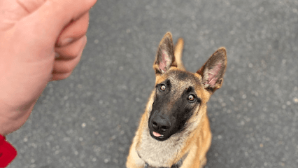 Elite K9 Service featured image for this Dog Trainer