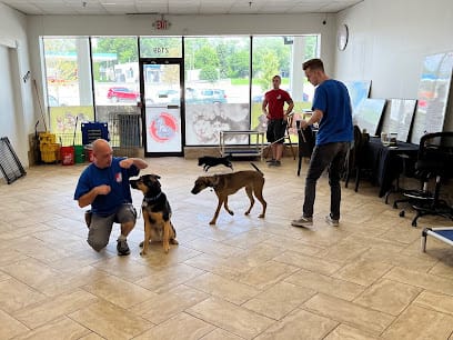 Dog Training & Grooming Downers Grove featured image for this Dog Trainer