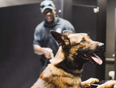 Custom Canine Unlimited featured image for this Dog Trainer