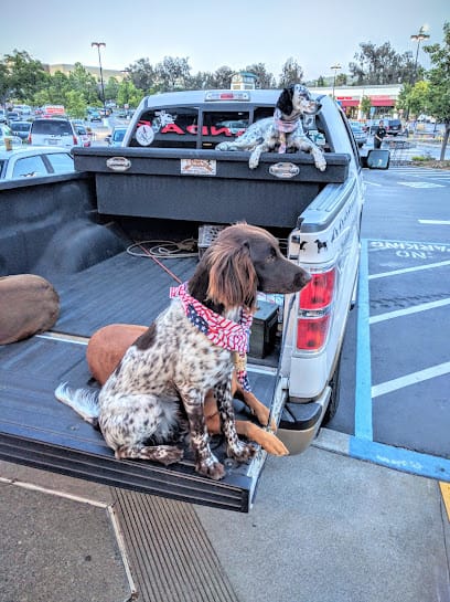 Dogs of the Feather featured image for this Dog Trainer
