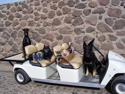 Doggie Tech featured image for this Dog Trainer