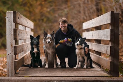 Dog Defined LLC (dog training) featured image for this Dog Trainer