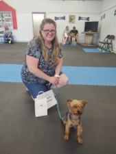 Dig It Dogs, LLC featured image for this Dog Trainer