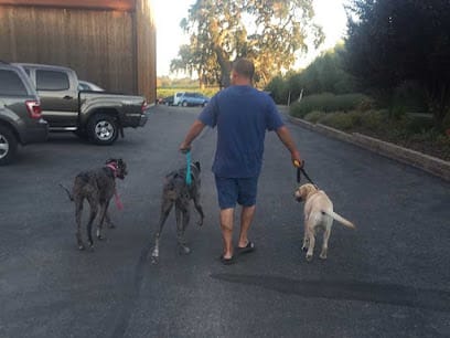 DognPooch.com featured image for this Dog Trainer