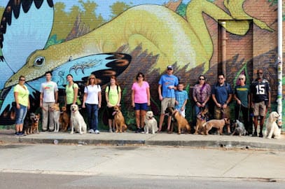 D.O.G. of Jax featured image for this Dog Trainer