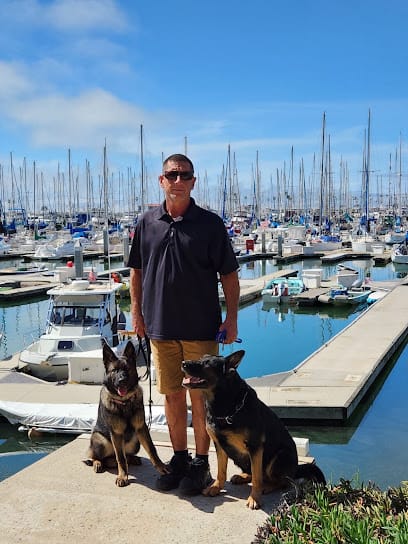 Dockside Dog Training featured image for this Dog Trainer
