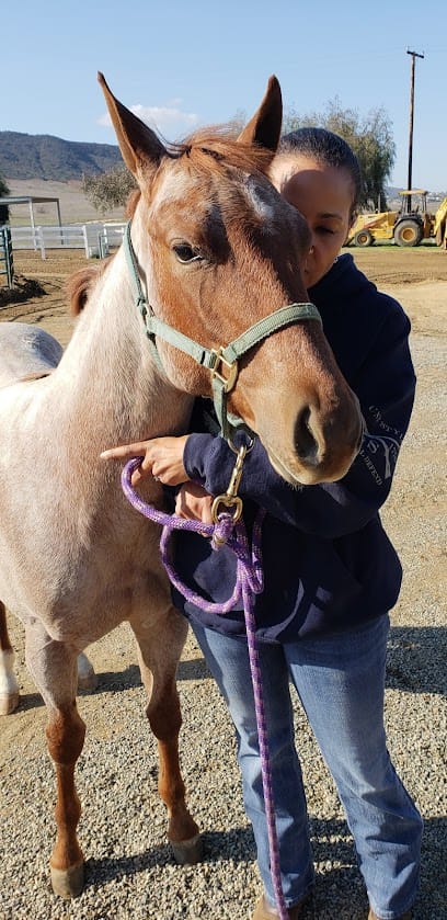 Cutting S Ranch featured image for this Dog Trainer