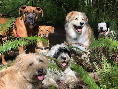 Dog Trots featured image for this Dog Trainer