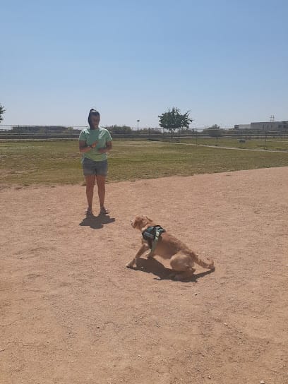 Dynamic Service Dog featured image for this Dog Trainer