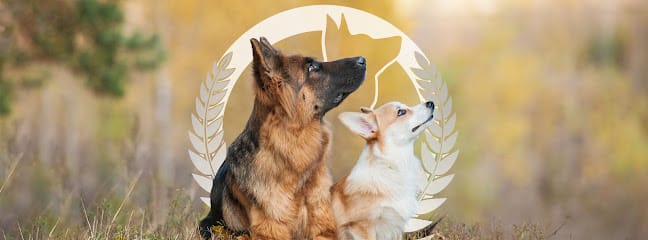 Dog Training Elite Treasure Coast Facility featured image for this Dog Trainer