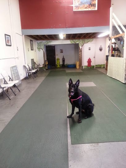 Dog Soul featured image for this Dog Trainer