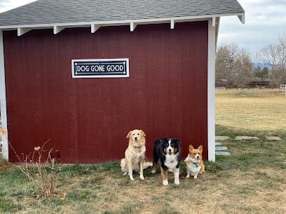 Dog Gone Good Training LLC featured image for this Dog Trainer