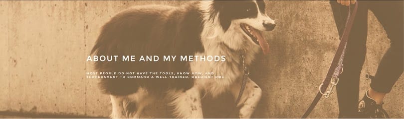 Desert Cove K9 Training featured image for this Dog Trainer