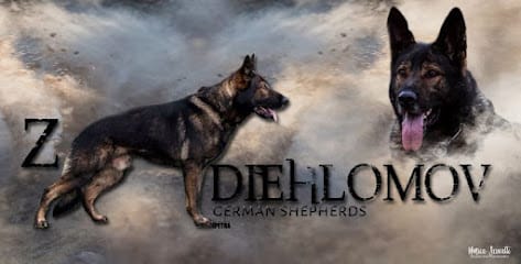 Diehl’s Police K9 Training Center, LLC featured image for this Dog Trainer