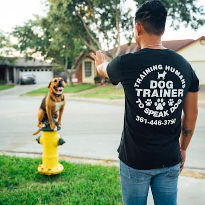 Elite K-9 featured image for this Dog Trainer