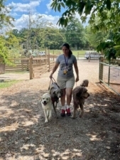 Dancing Creek Farm featured image for this Dog Trainer