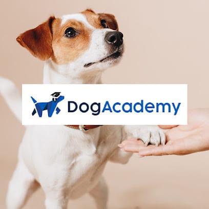 Dog Academy featured image for this Dog Trainer