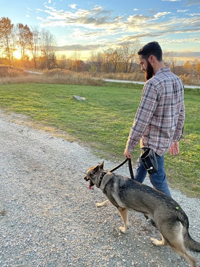 Every Day Canine LLC featured image for this Dog Trainer