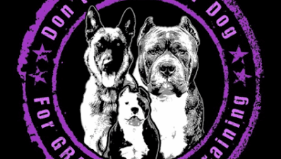 Don’t take your dog for granted featured image for this Dog Trainer