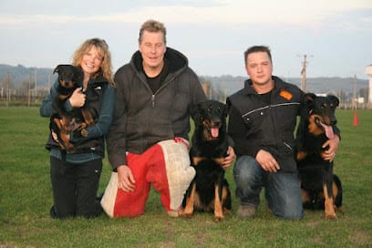 Dog Dynamics — Dog Training Walnut Creek featured image for this Dog Trainer