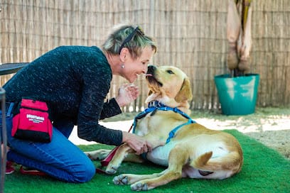 Doggywood Dog Training featured image for this Dog Trainer