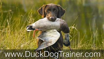 Duck Dog Trainer featured image for this Dog Trainer