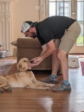 Dominion Dog Training featured image for this Dog Trainer