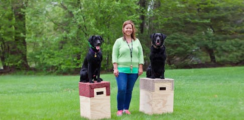 Dog Training by Tiffany featured image for this Dog Trainer