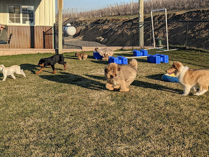 Crossroads School of Dog Training featured image for this Dog Trainer