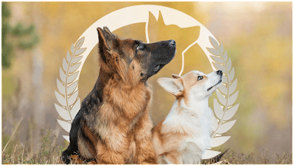 Dog Training Elite Mesa featured image for this Dog Trainer