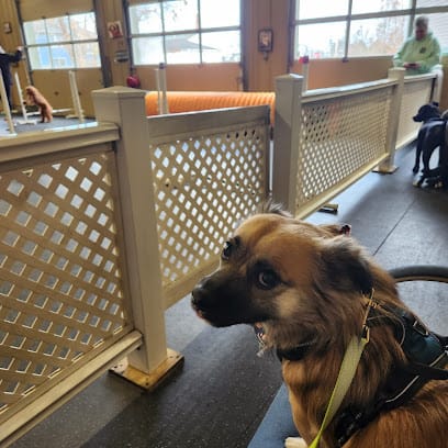 Doc’s K9 Center featured image for this Dog Trainer