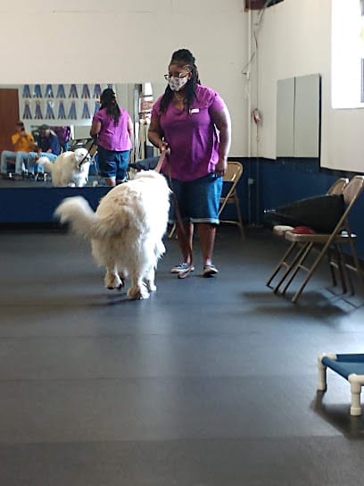 Dog Trainers Workshop and Boarding featured image for this Dog Trainer