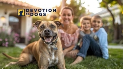 Devotion to Dogs featured image for this Dog Trainer