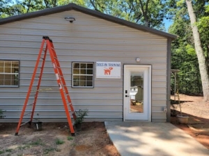 Dogs in Training Inc. featured image for this Dog Trainer