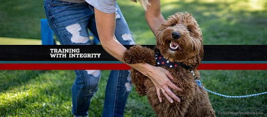 D & D Dog Dynamics Training Center featured image for this Dog Trainer