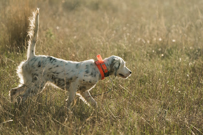 Covey Kennels featured image for this Dog Trainer