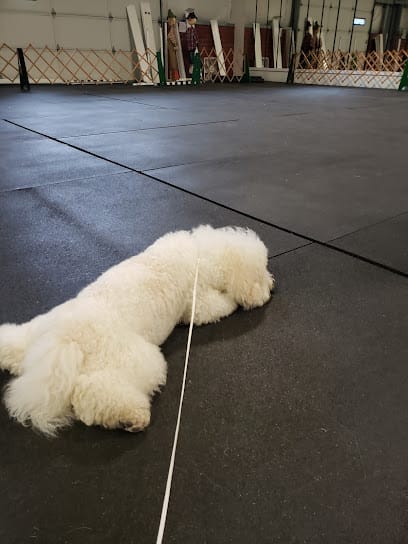 Emerald Dog Obedience Club Inc featured image for this Dog Trainer