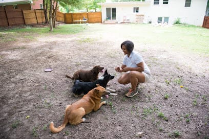 Dynamic Dogs of NC featured image for this Dog Trainer