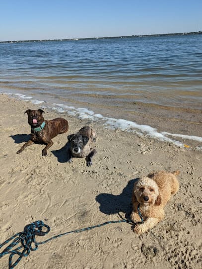 DogEdin Republic featured image for this Dog Trainer