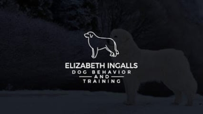 Elizabeth Ingalls Dog Behavior and Training featured image for this Dog Trainer