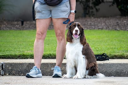 Diamond in the “Ruff” Dog Obedience and Training featured image for this Dog Trainer