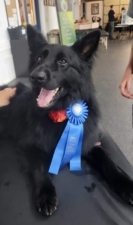 Durham Kennel Club Building featured image for this Dog Trainer