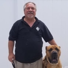 Diamond in The Ruff Dog Training featured image for this Dog Trainer