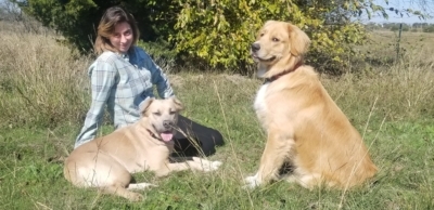 Aspirare Paragone Canine Training featured image for this Dog Trainer