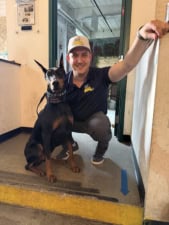 Brighter Days Dog Training featured image for this Dog Trainer