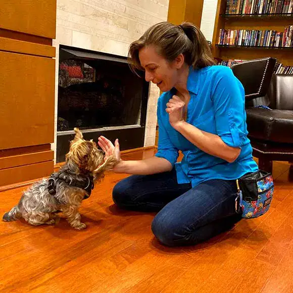 Dog Training In Bethesda