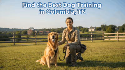 Dog Training In Columbia Tn Find The Best