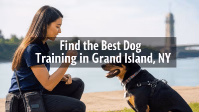 Dog Training In Grand Island Ny Find The Best