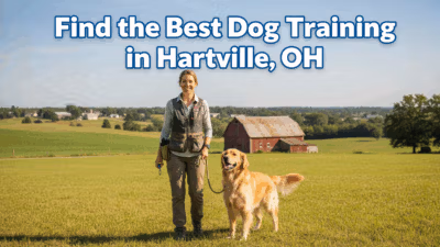 Dog Training In Hartville Oh Find The Best