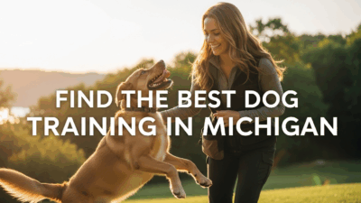 Dog Training In Michigan Find The Best